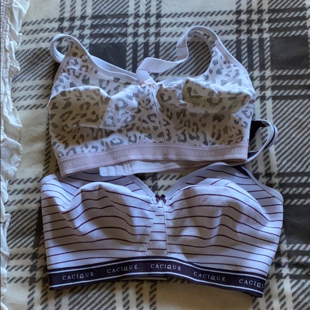 Lane Bryant bras